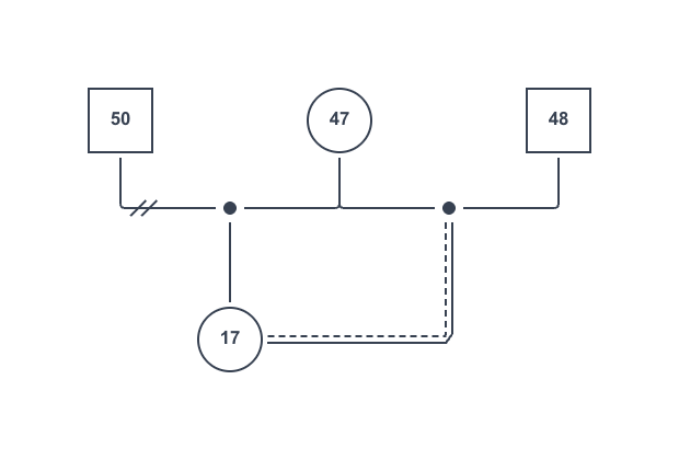 連れ子と再婚相手が養子縁組をした場合のジェノグラム